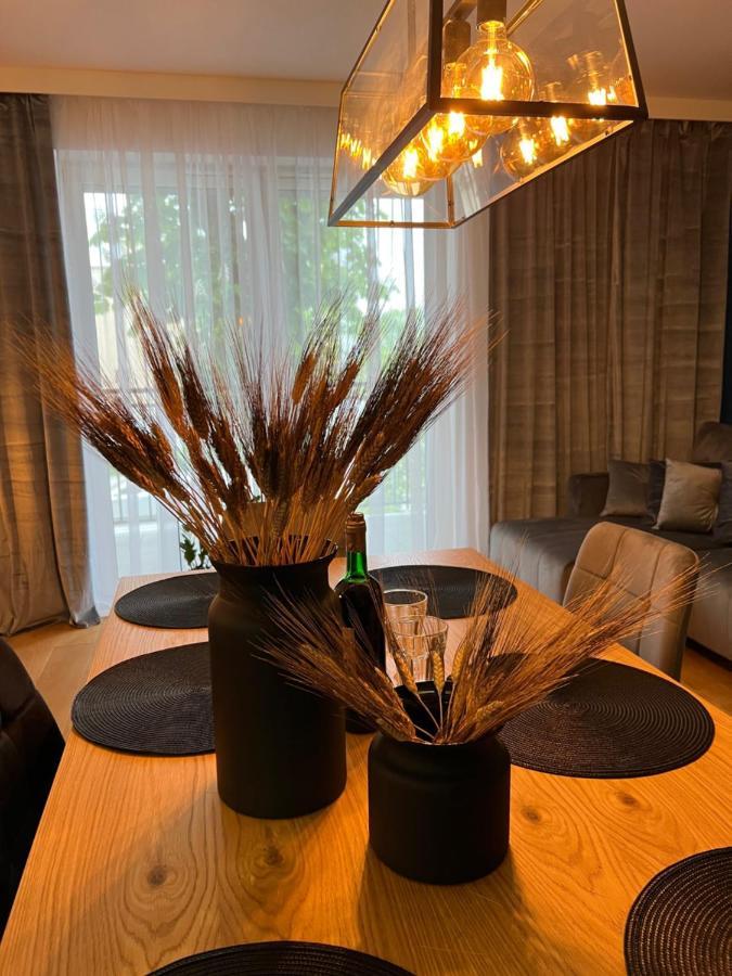 Family & Business Elegant Apartments, Kadzielnia, Wdk, Stadion Korona -1 Bedroom, Terrace, Garage, New! Kielce Eksteriør bilde